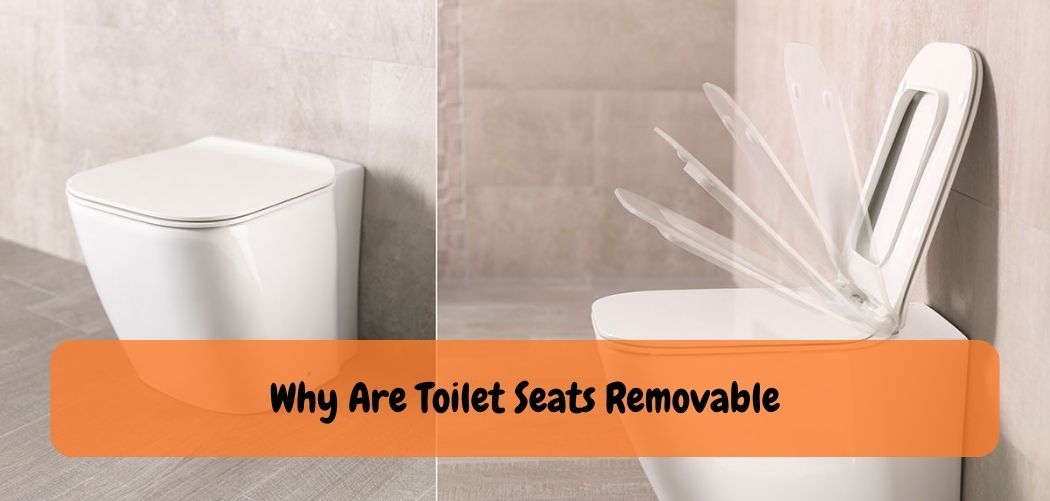 Why Are Toilet Seats Removable
