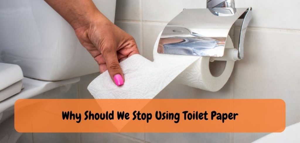 Why Should We Stop Using Toilet Paper