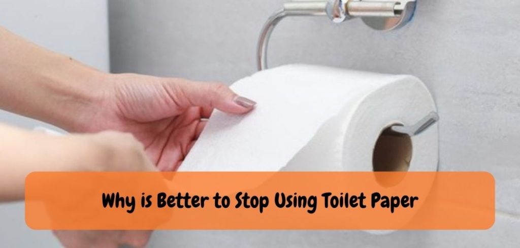 why-is-better-to-stop-using-toilet-paper