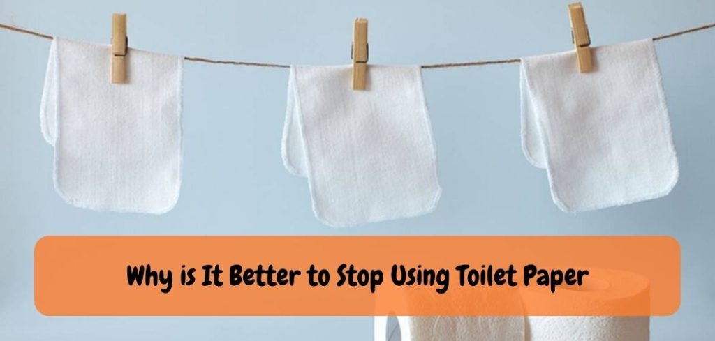Why is It Better to Stop Using Toilet Paper