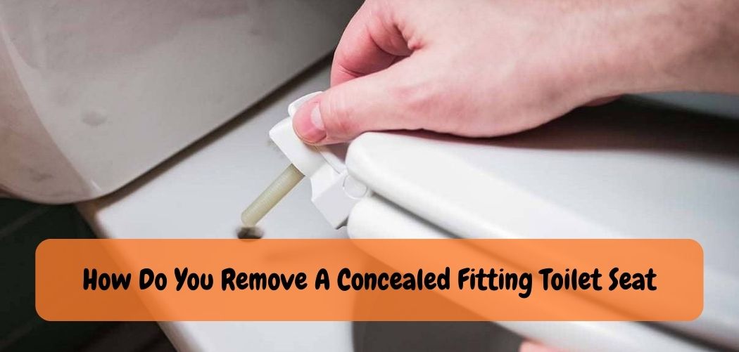 How Do You Remove A Concealed Fitting Toilet Seat