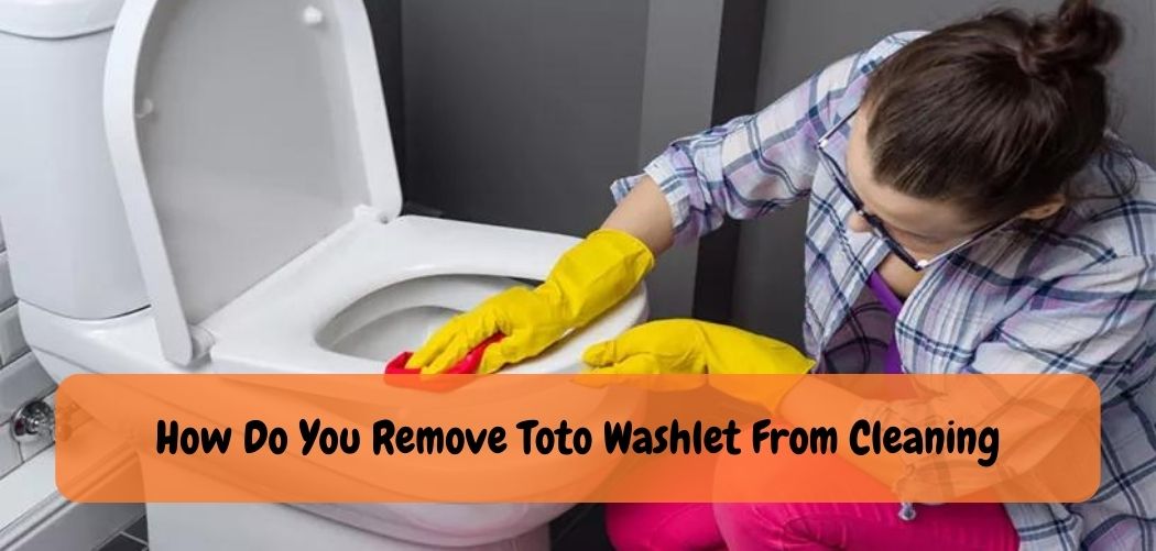 How Do You Remove Toto Washlet From Cleaning