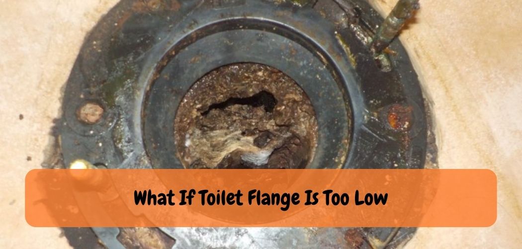 What If Toilet Flange Is Too Low