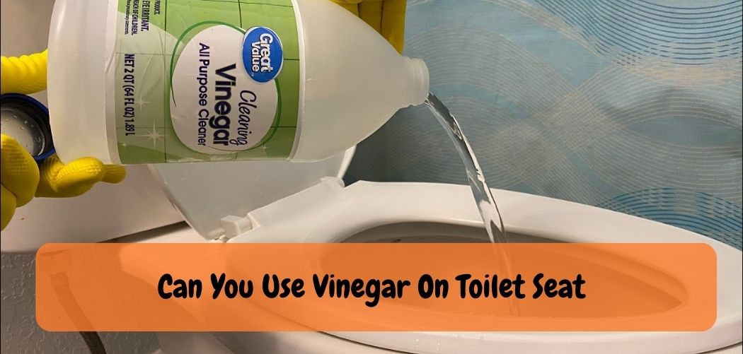 Can You Use Vinegar On Toilet Seat