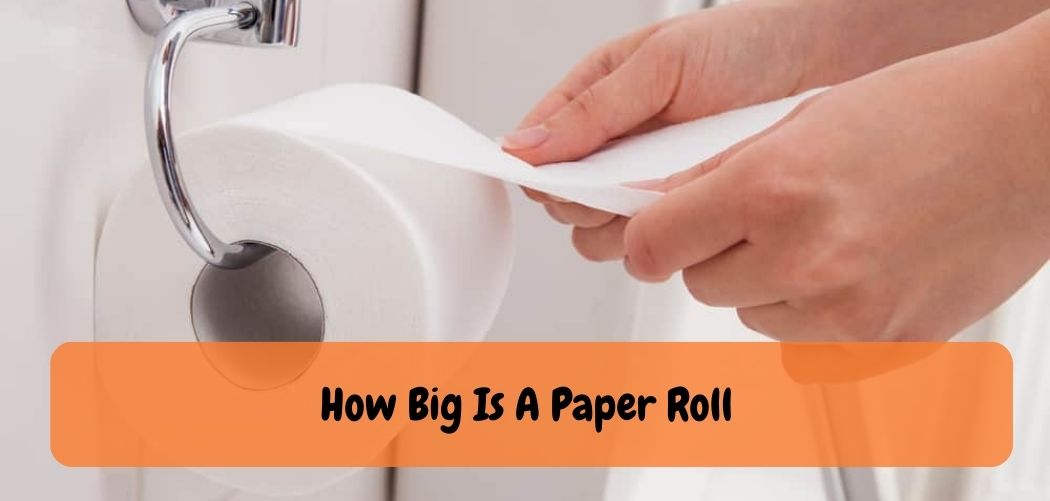 How Big Is A Paper Roll