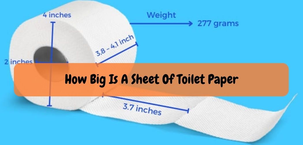 How Big Is A Sheet Of Toilet Paper