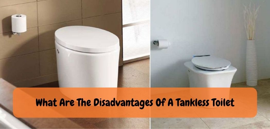 What Are The Disadvantages Of A Tankless Toilet