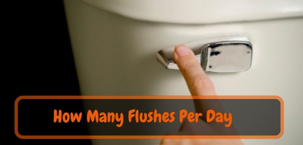 How Many Flushes Per Day? Discover the Facts.