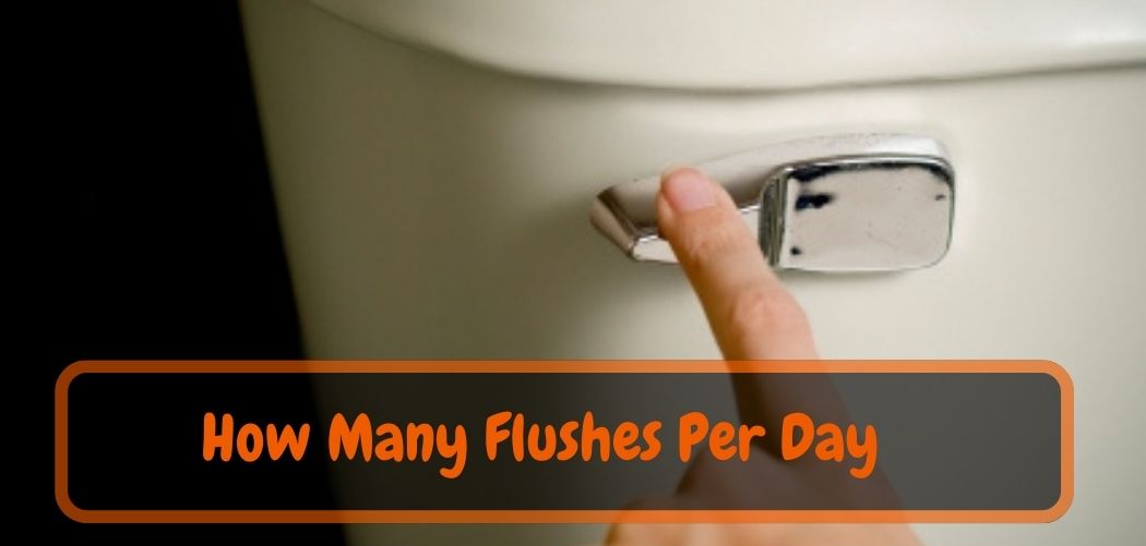 How Many Flushes Per Day